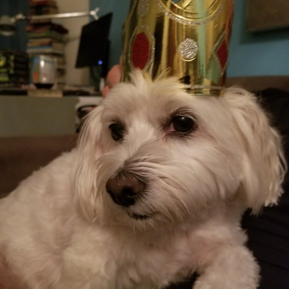 Meet your Posher - Picture 9 of 9